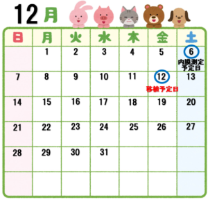 不妊治療　スケジュール